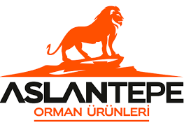 aslantepe